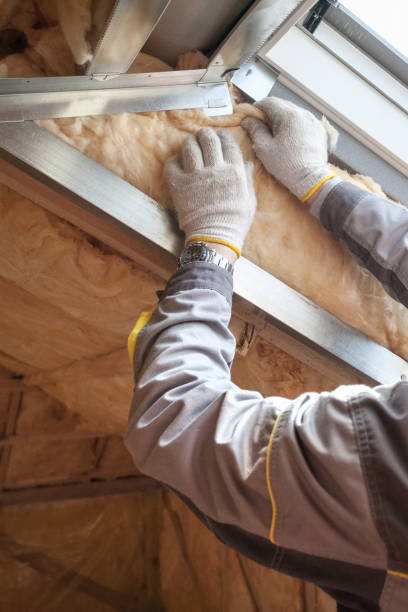 Best Insulation Contractors for Homes  in Freeland, PA