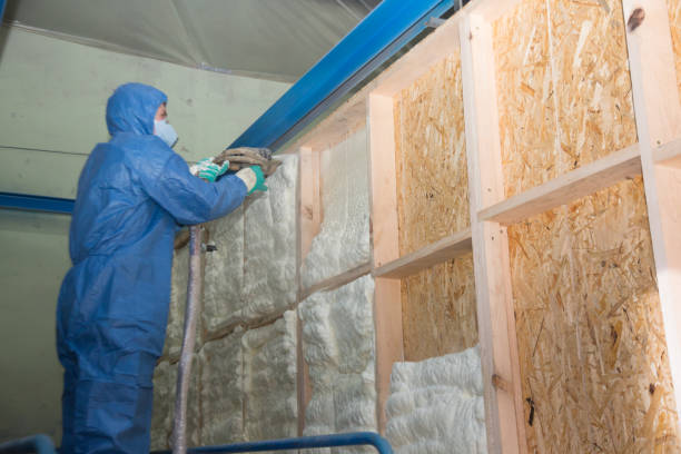 Best Insulation Removal Services  in Freeland, PA