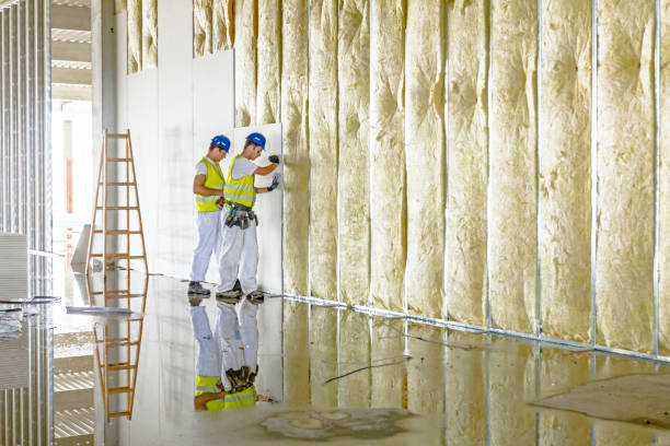 Best Residential Insulation Services  in Freeland, PA